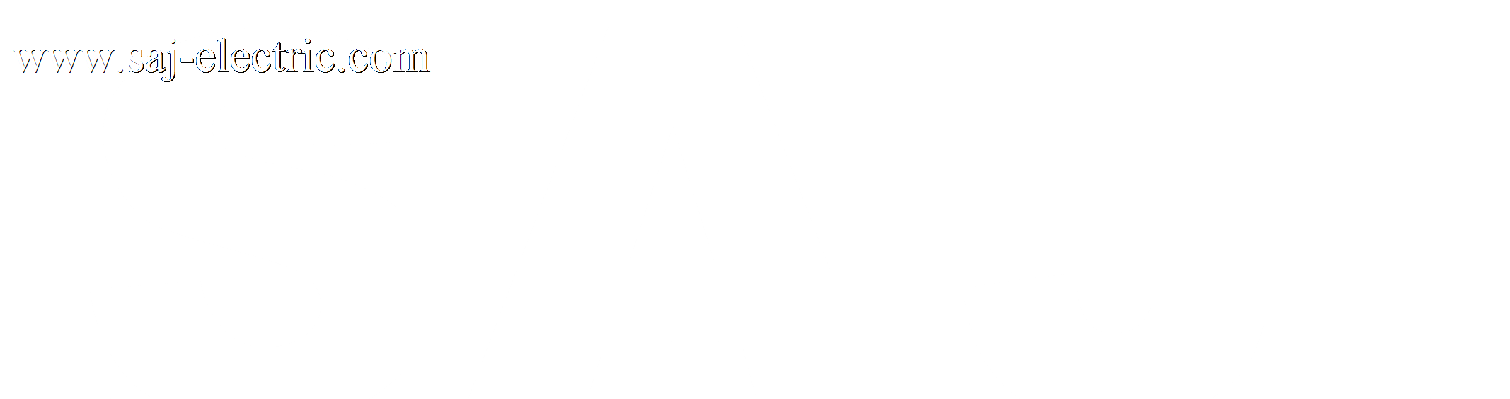 SAJ LOGO-反白